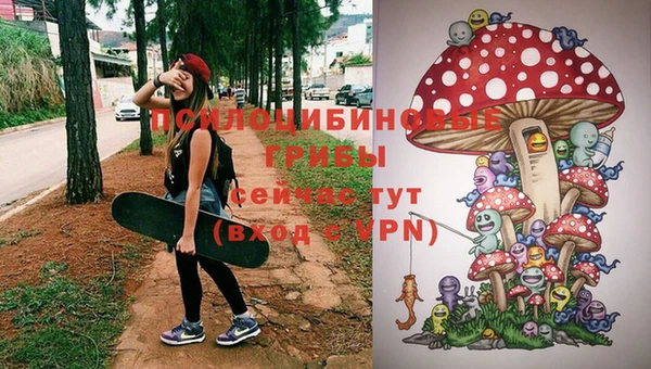 гидропоника Медногорск