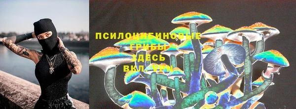 гидропоника Медногорск