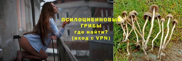 прущая мука Мегион