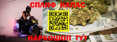 прущие грибы Дубна
