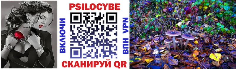 Псилоцибиновые грибы прущие грибы  Курчалой 