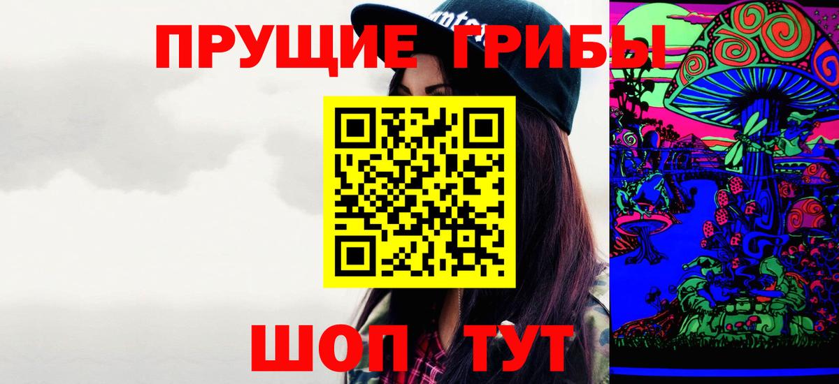 Галлюциногенные грибы Magic Shrooms  Галлюциногенные грибы Magic Shrooms  Вход с VPN  Курчалой 